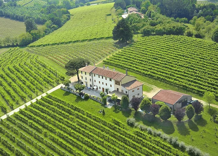Terre Boscaratto