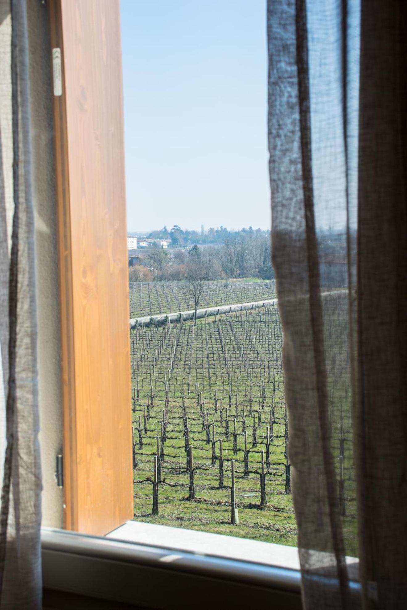 Terre Boscaratto Bed & Breakfast