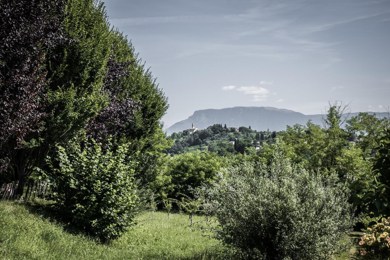Terre Boscaratto * Susegana